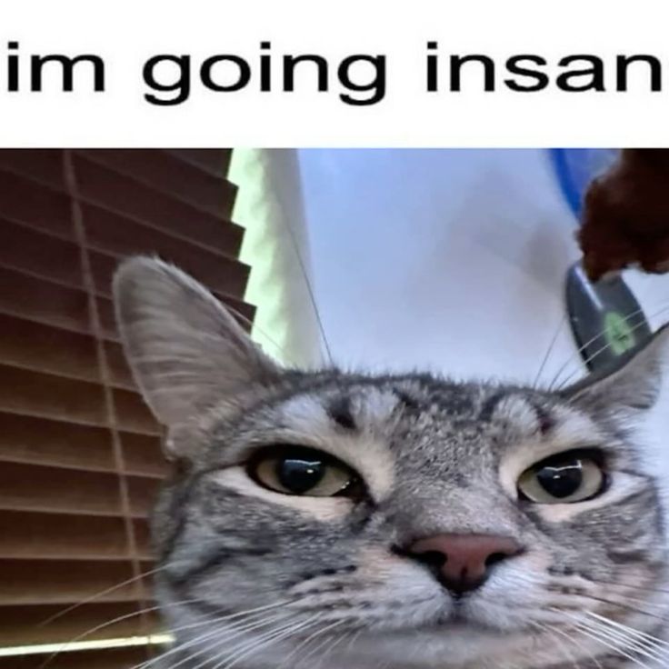 1000006993