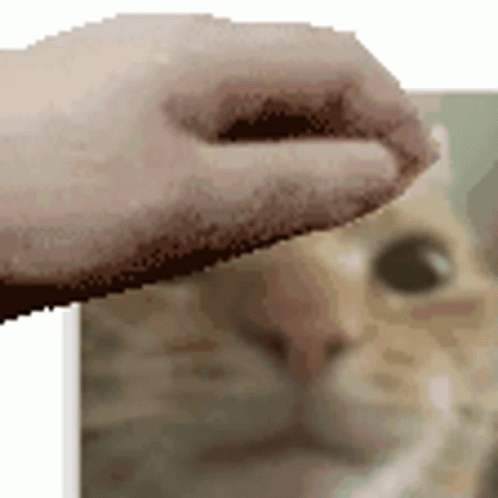 1000007568