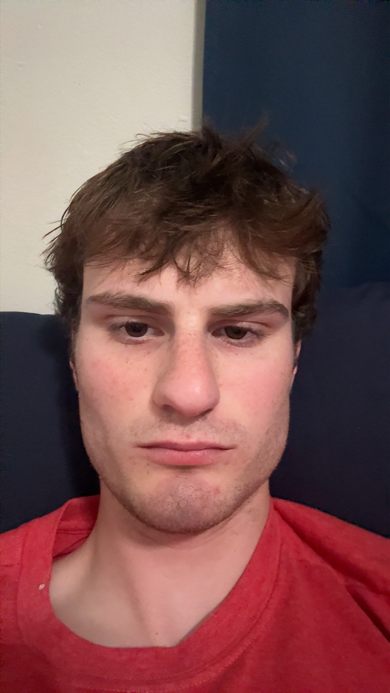 IMG 1464