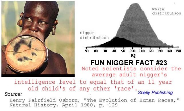 23 Niggers Are Retarded jpg 4