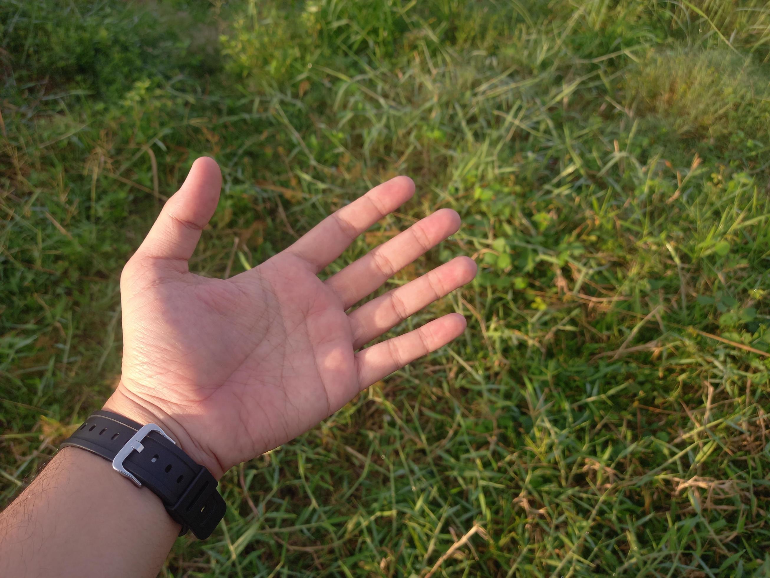 Man left hand showing five fingers free photo