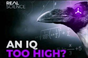 C76