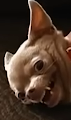 1782521800895