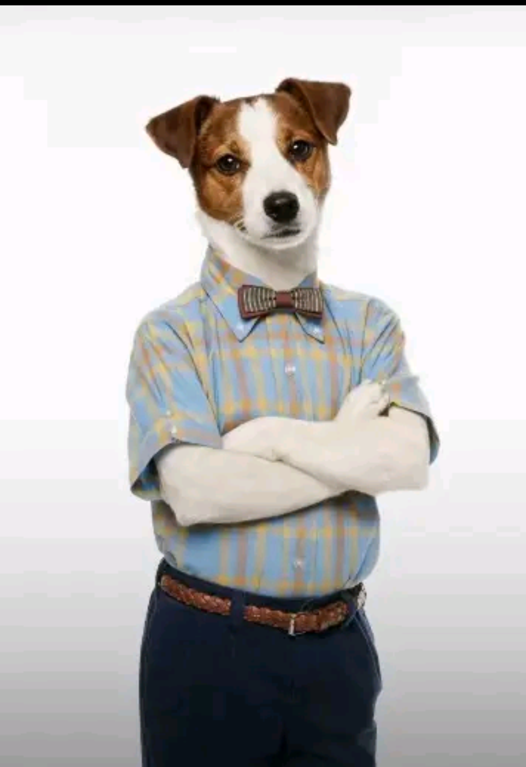 6481