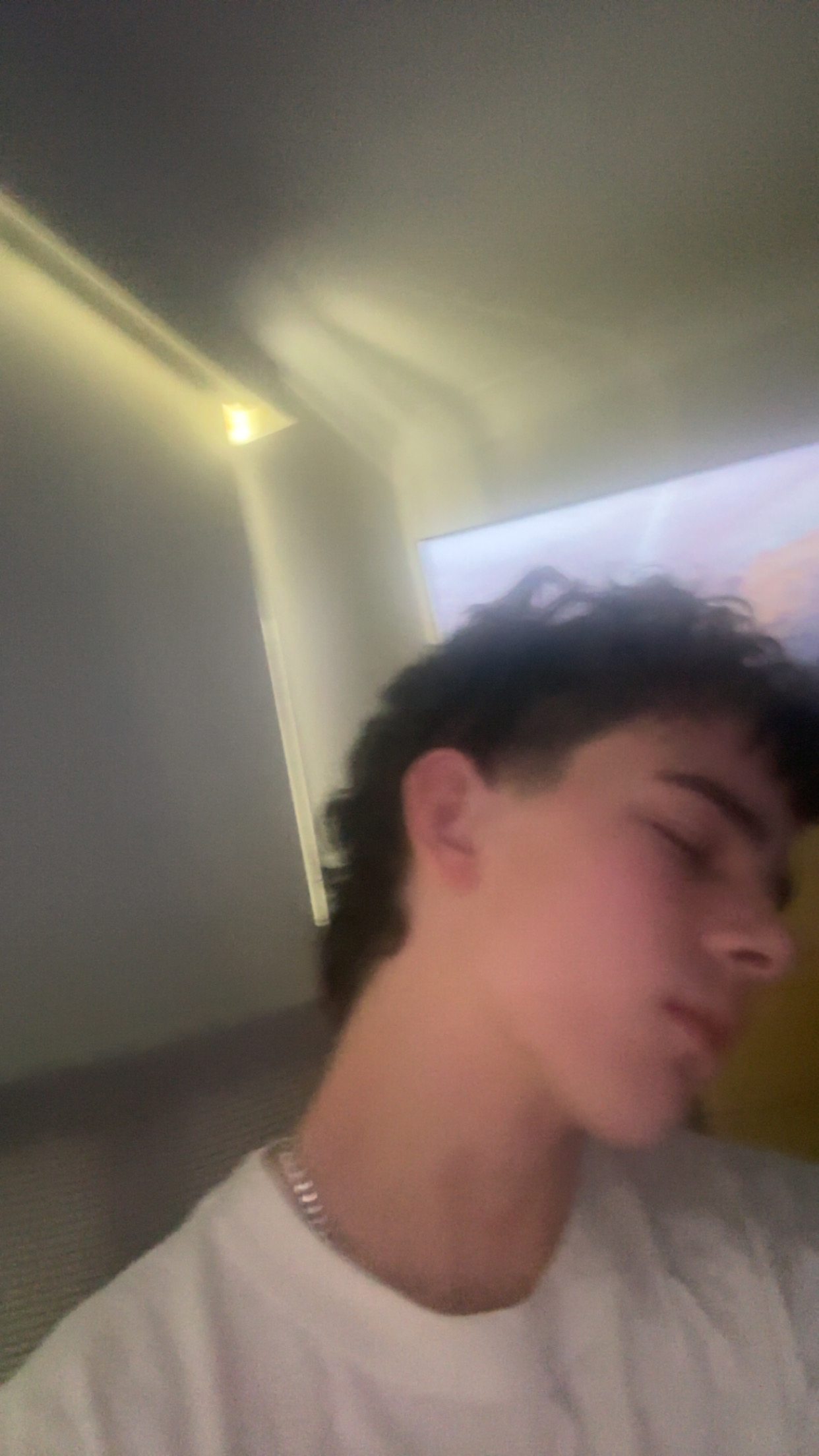 IMG 0431