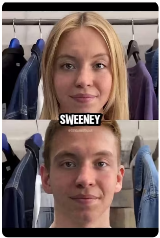 1782540517657