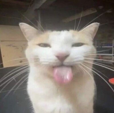 62133 bleh