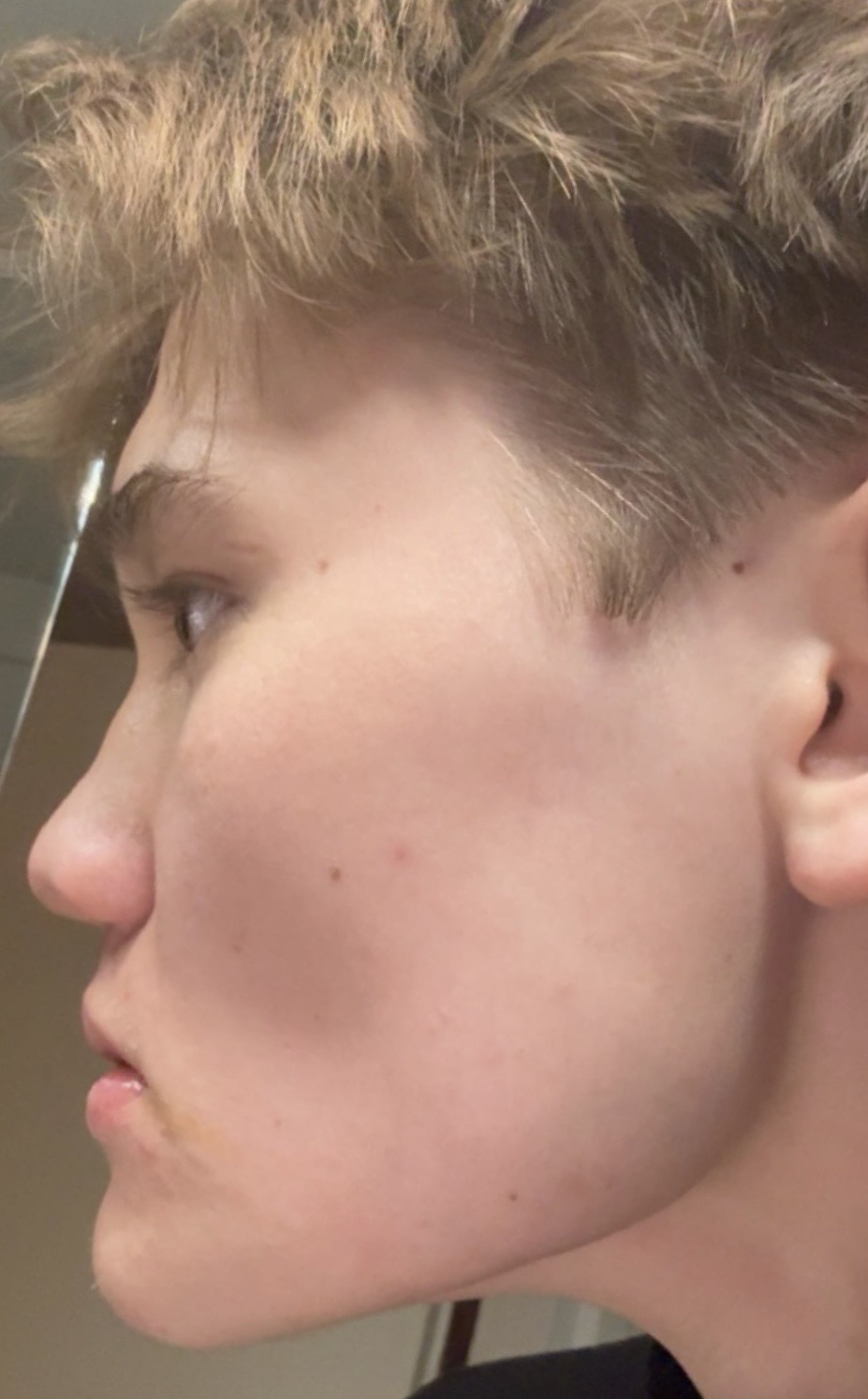 IMG 1604