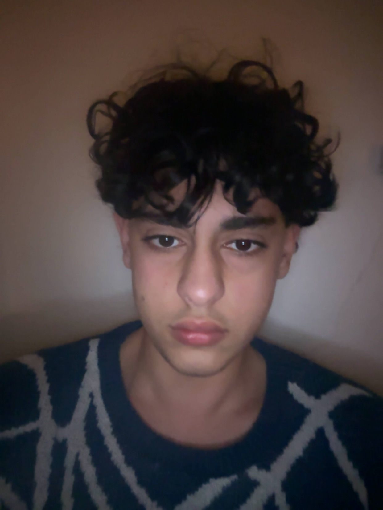 IMG 0031