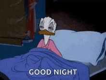 Donald duck sleep