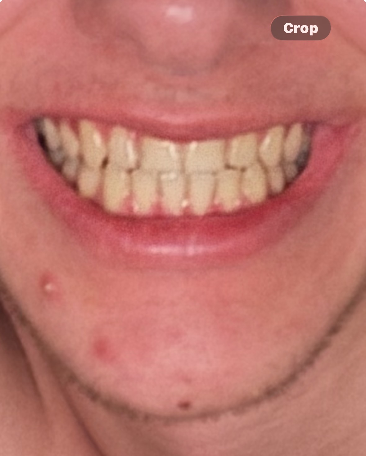 IMG 0358