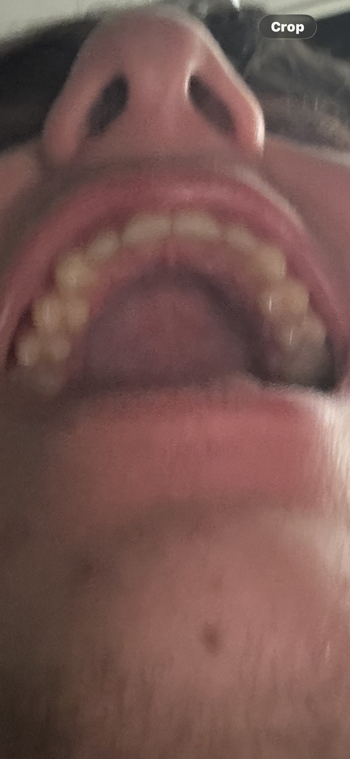 IMG 0362