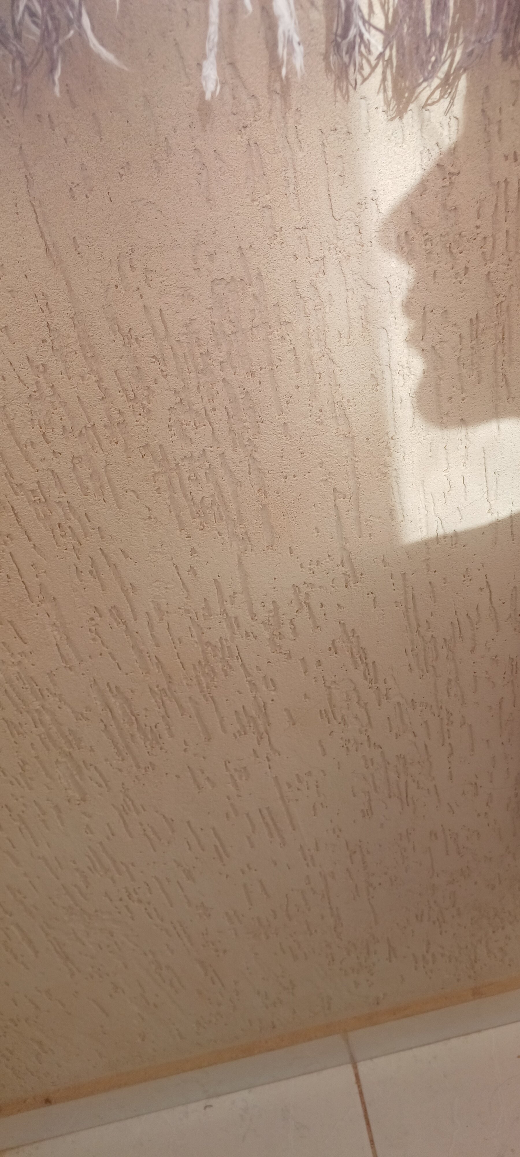 1000125747