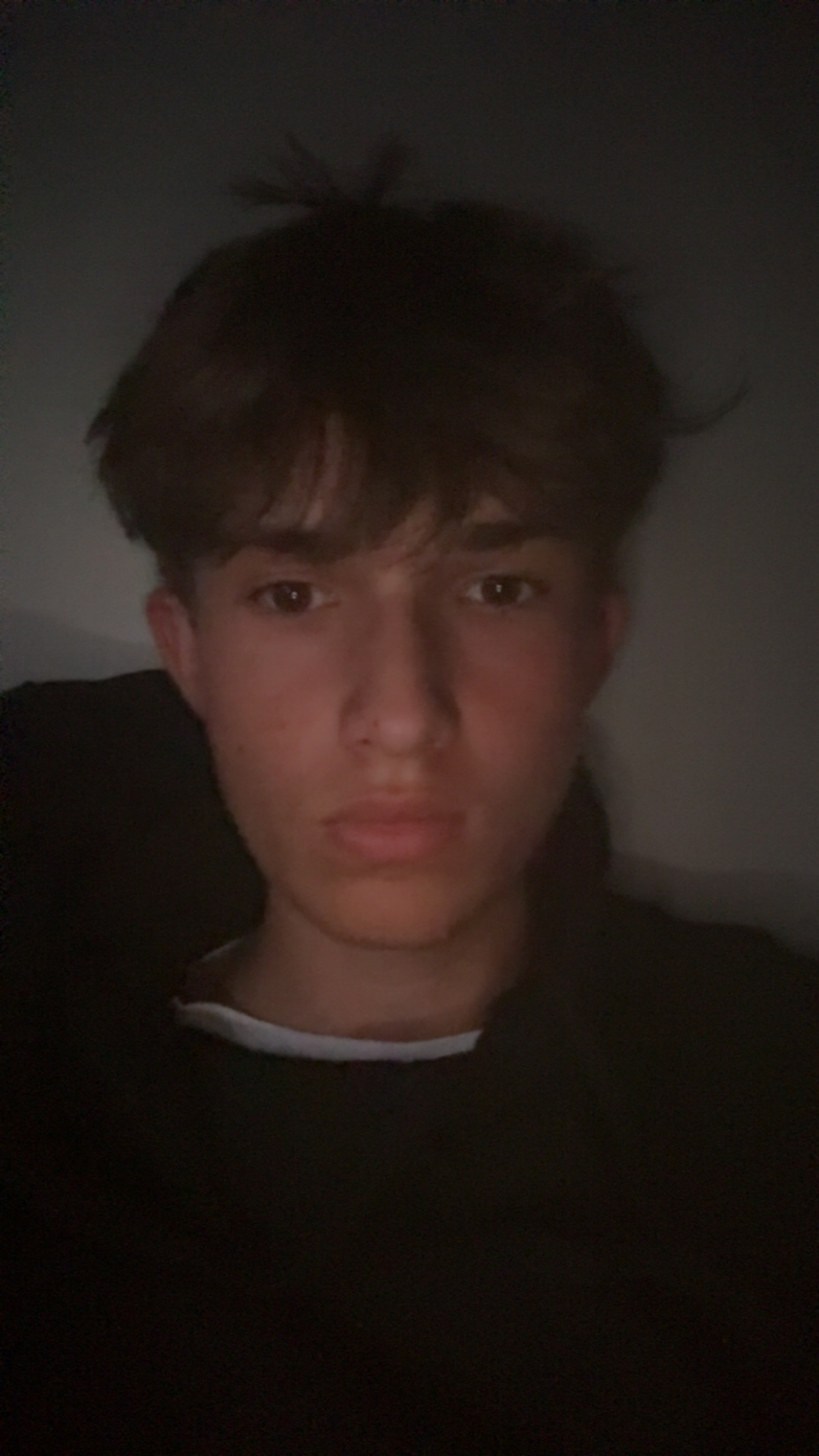 IMG 1952