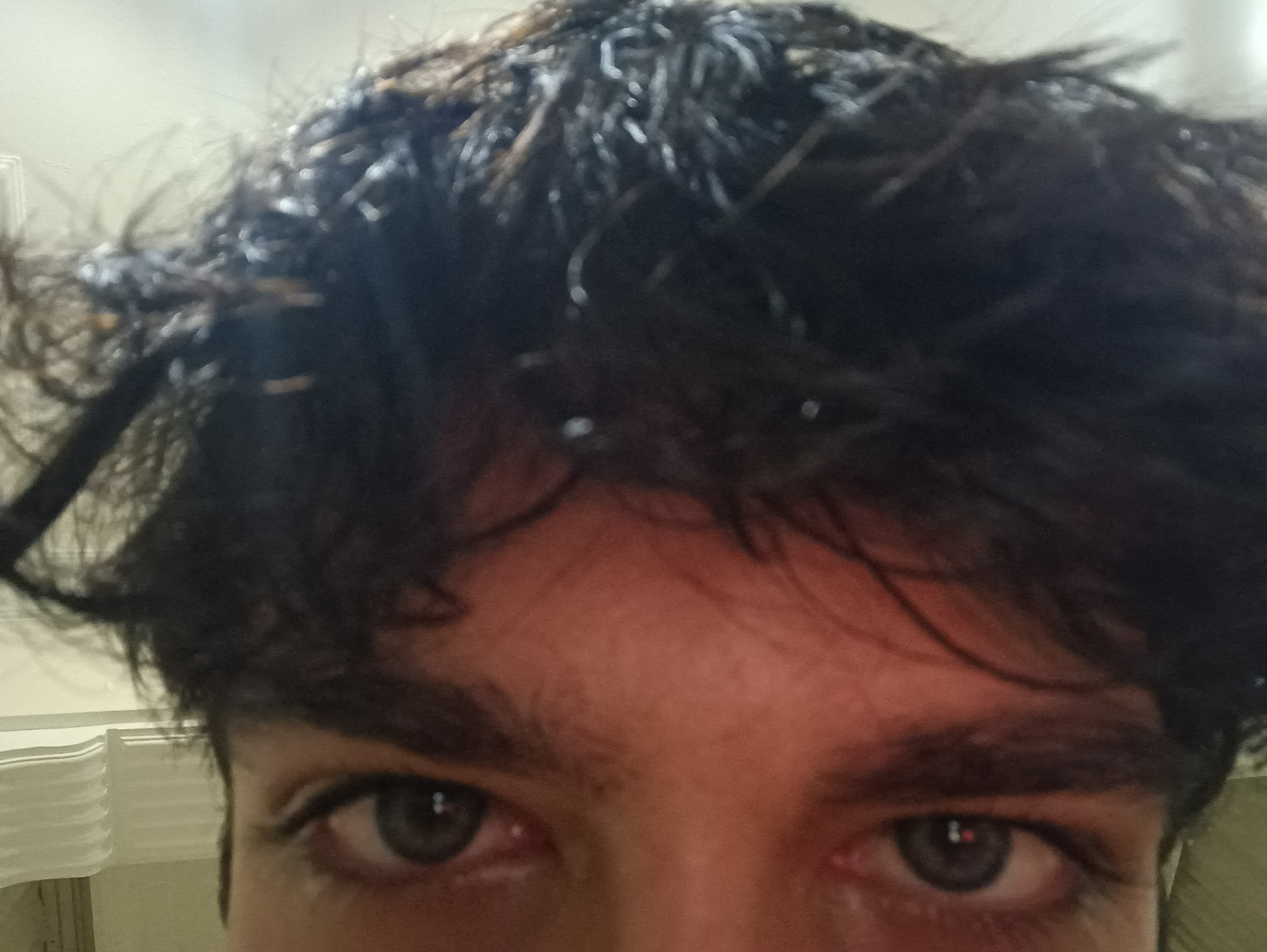 IMG 20260629 034517
