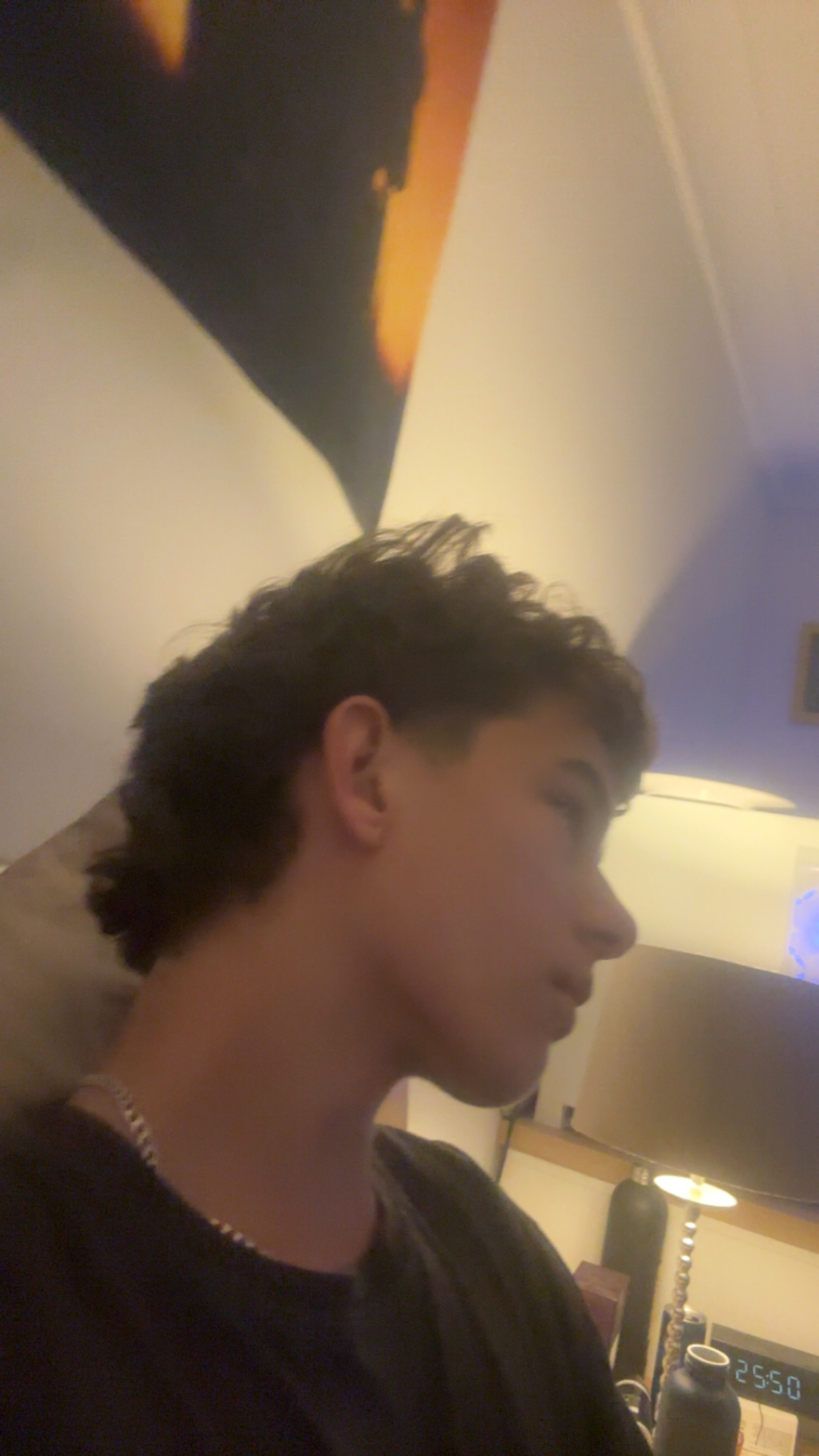 IMG 0454