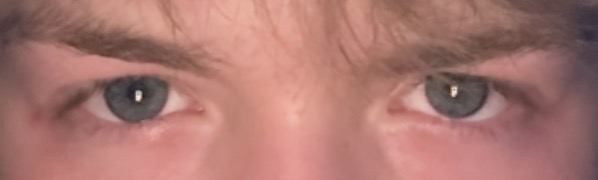 IMG 1542