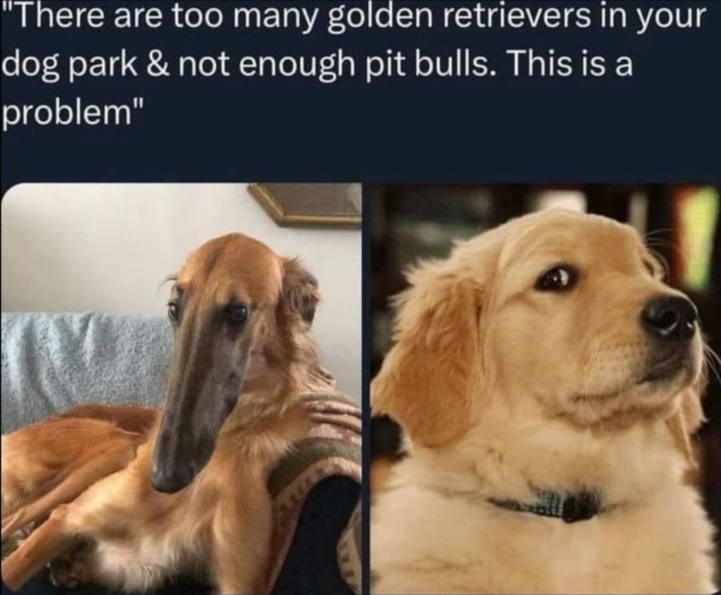 1000134238