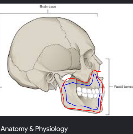 1782747497616
