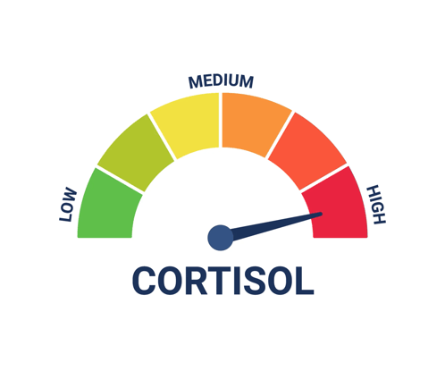Cortisol high