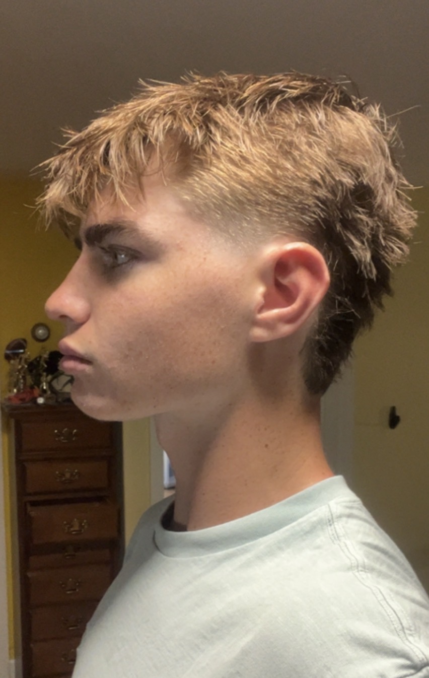 IMG 1421