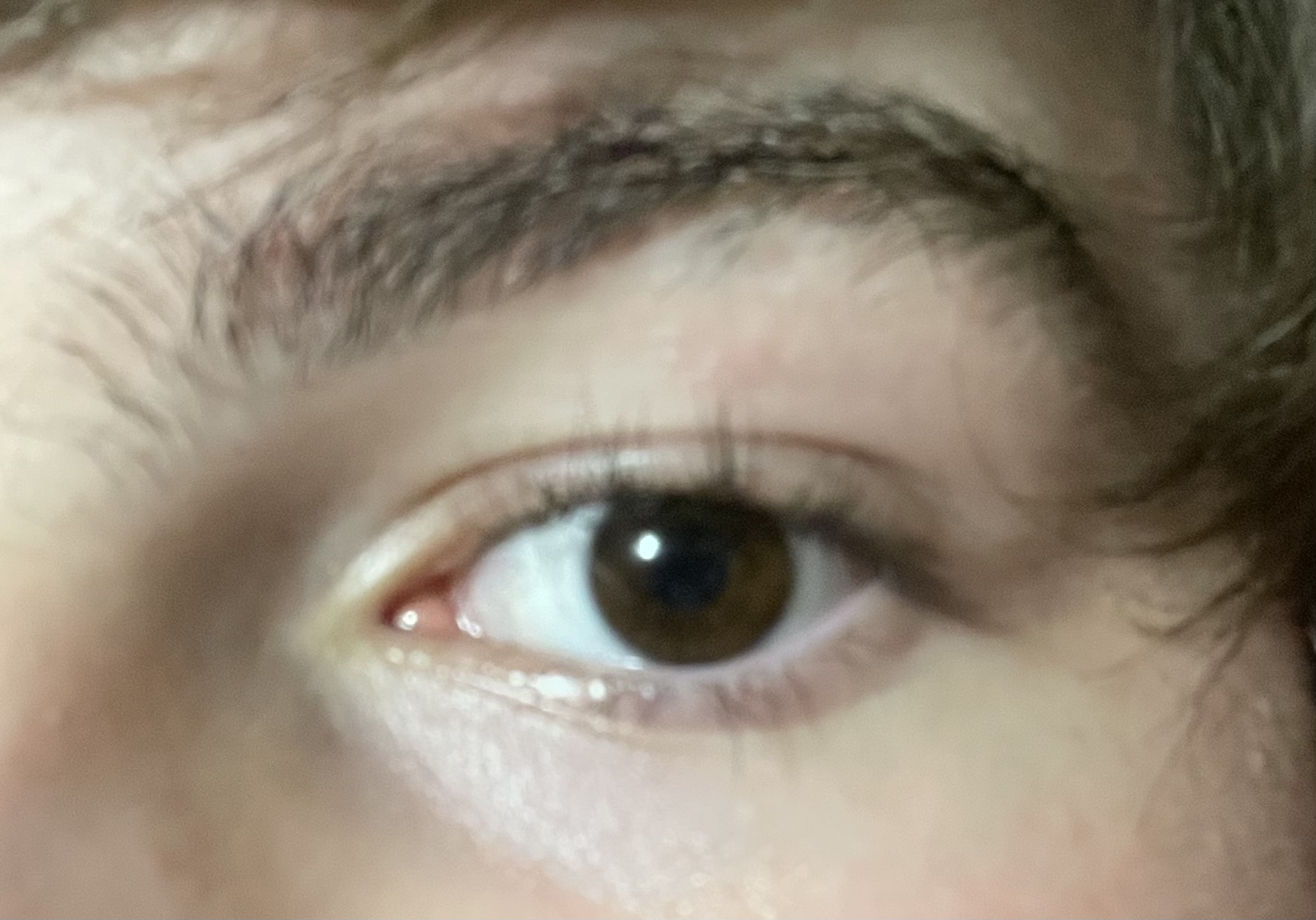 IMG 1640