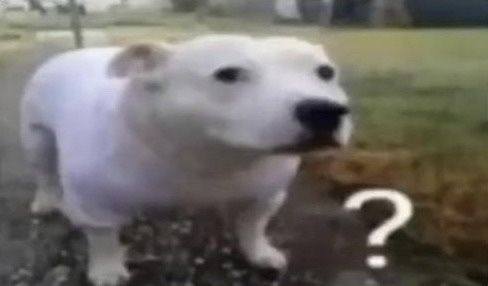 1000022368