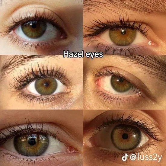 1782832431066