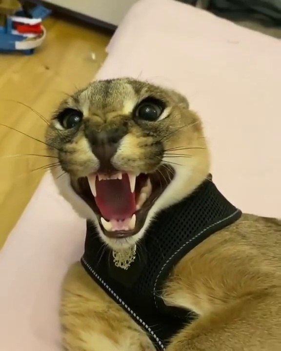 1782837533934
