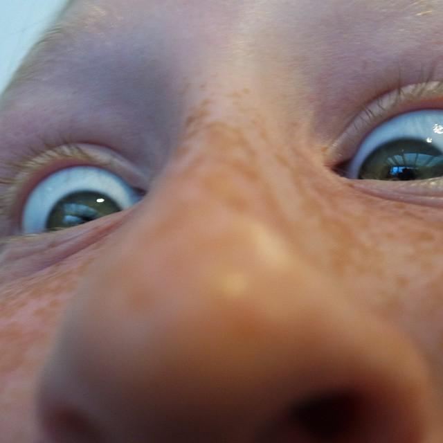 IMG 3126