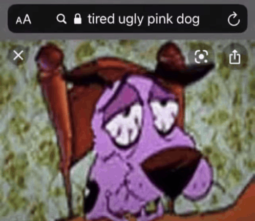 Dog pink