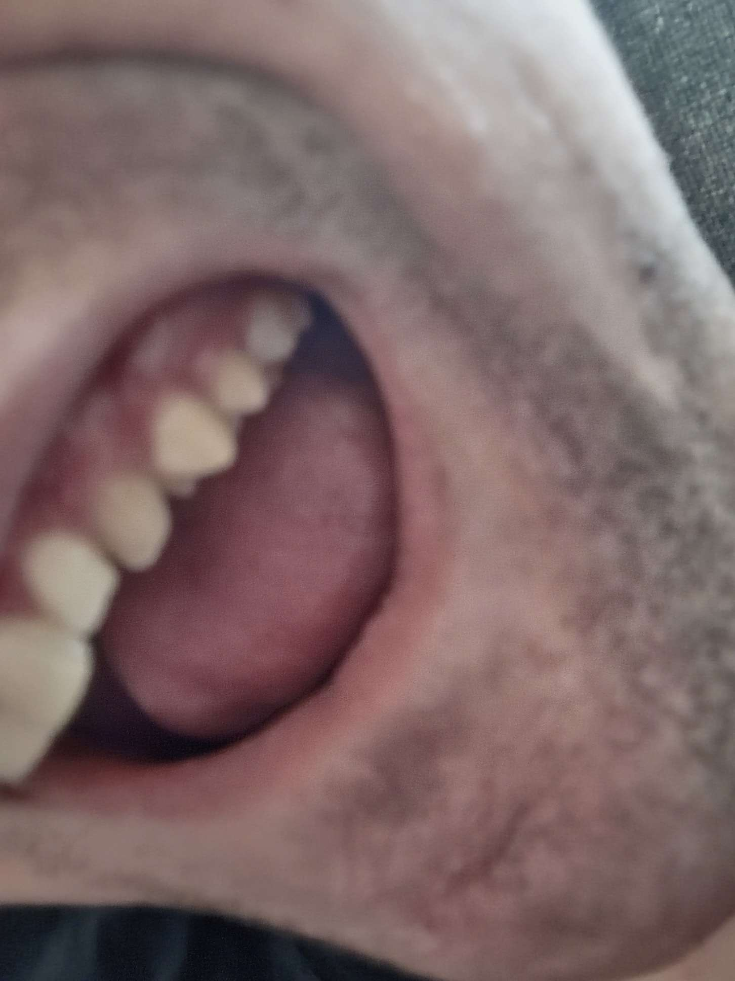 1782860633876