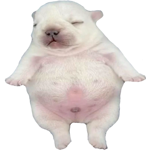 1780329223099.png