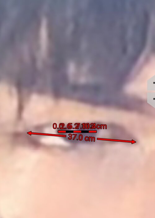 Screenshot_20260601_162325_ImageMeter.jpg