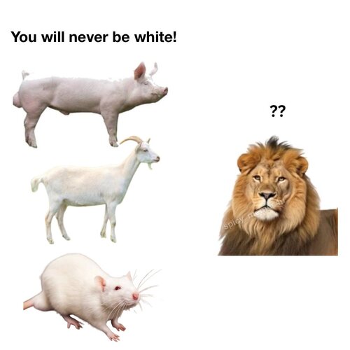 1000030418.jpg
