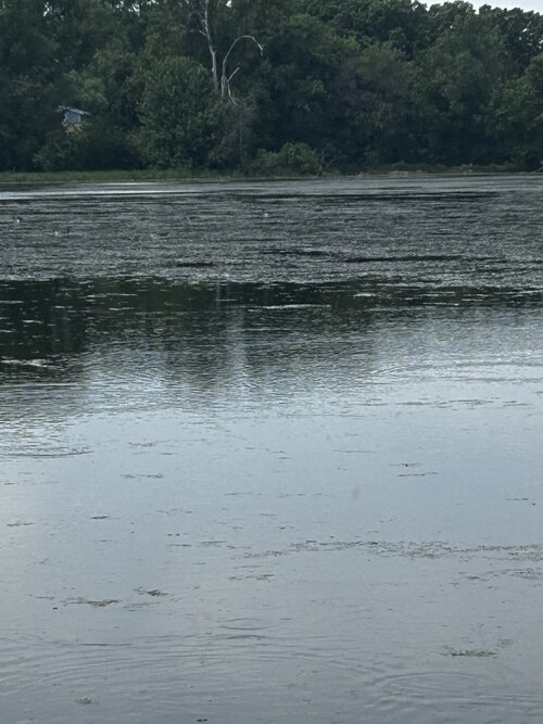 IMG_0647.jpeg