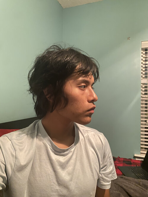 IMG 1570