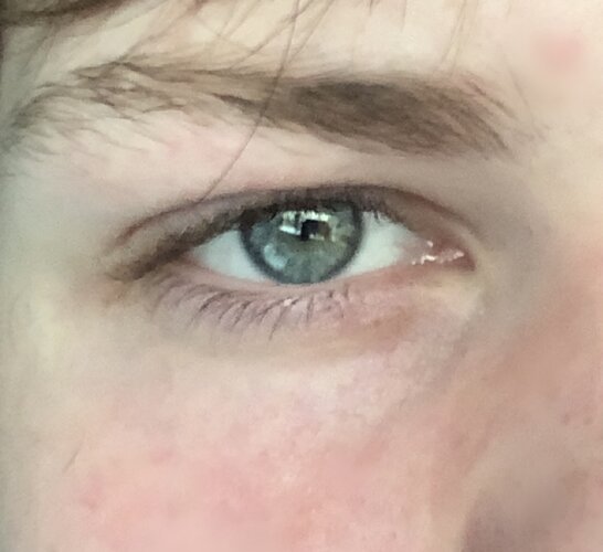 IMG_9901.jpeg