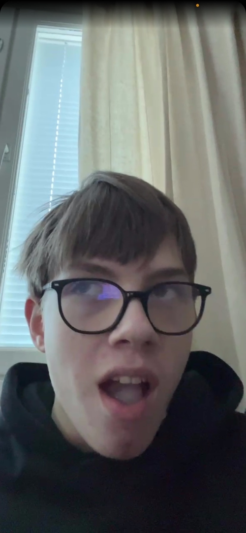 finnishpdf.png