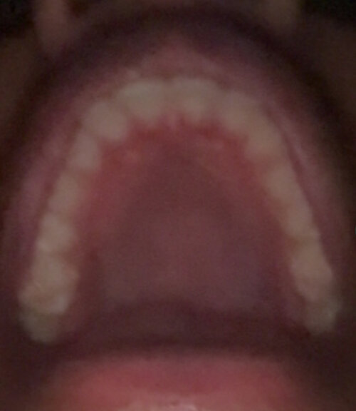 IMG_1104.jpeg
