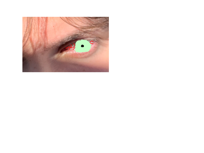 Untitled.png
