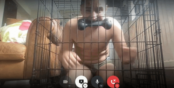 togif.141d59c8.gif