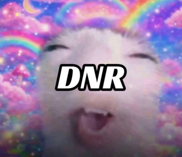6309780_IMG_0399.jpeg