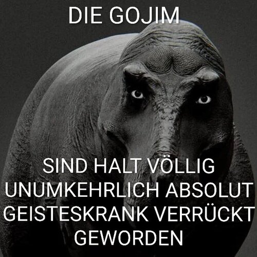 HHFTtiibIAAckTq.jpeg