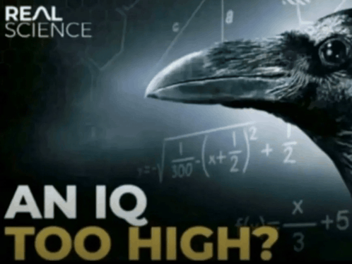 an-iq-too-high.png