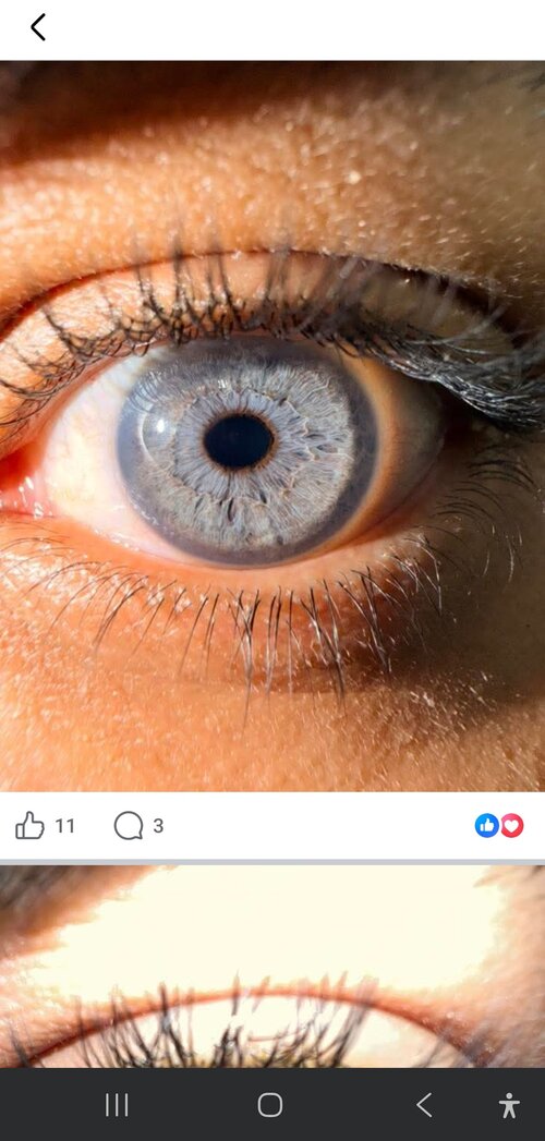 Screenshot_20260601_011444_Facebook.jpg
