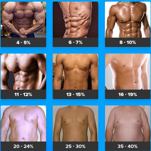Body Fat Percentage Males Brad Newton Fitness
