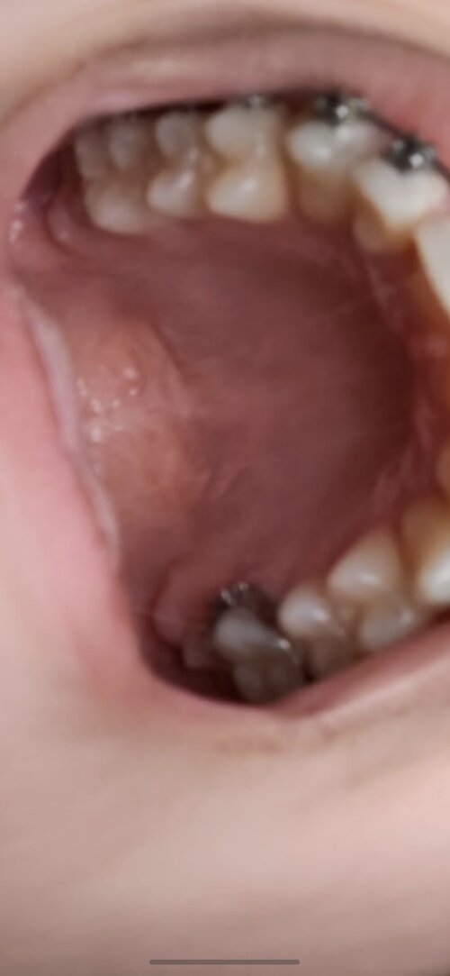 Screenshot_20260610_213108_com_hihonor_photos_HwCameraLockRotatePhotoActivity.jpg