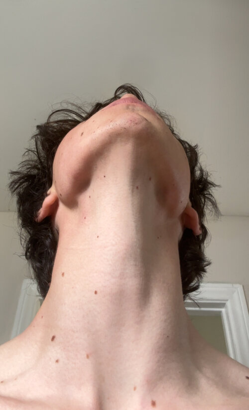 IMG_3836.jpeg