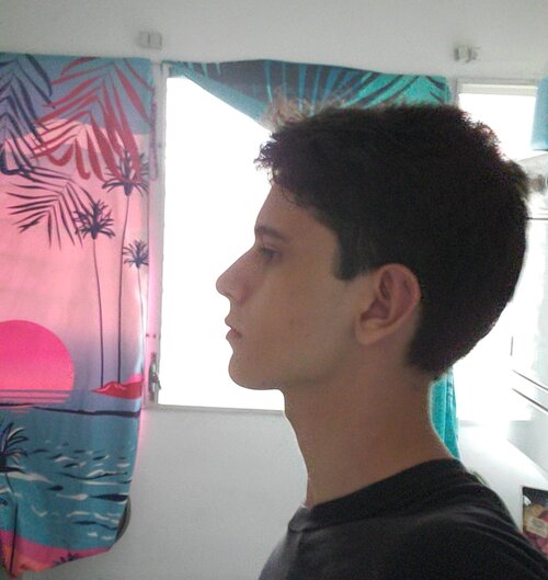 381535.jpg
